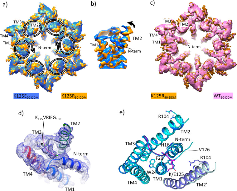 Figure 5.