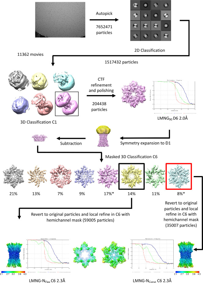 Figure 1—figure supplement 1.