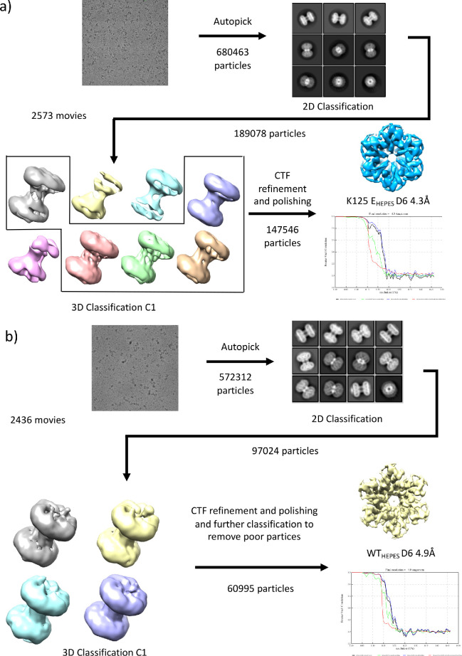 Figure 5—figure supplement 4.