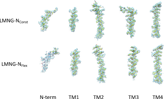 Figure 1—figure supplement 2.