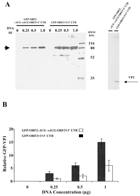 FIG. 7.