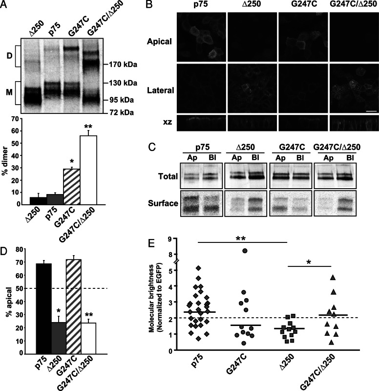 FIGURE 6: