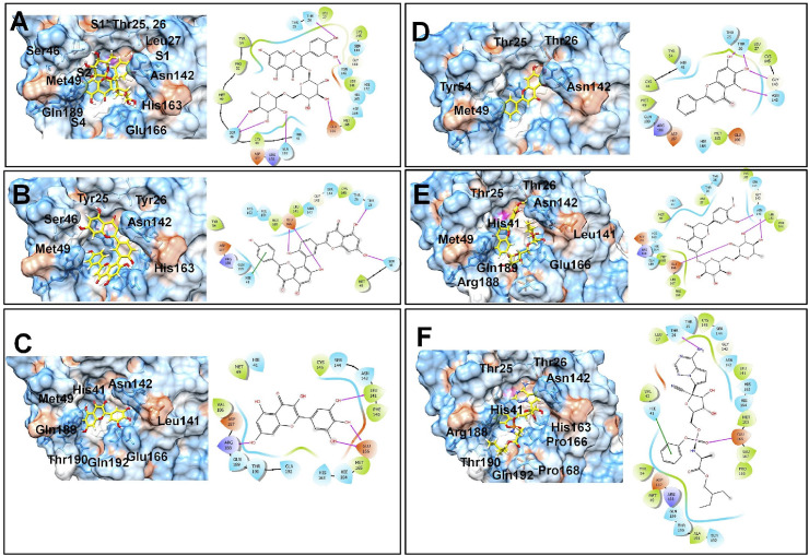 Fig. 4