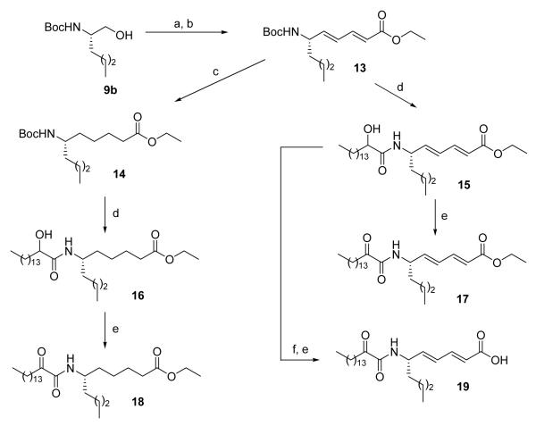 Scheme 3