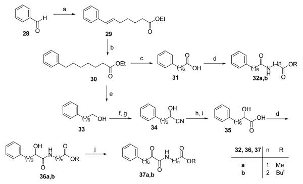 Scheme 5