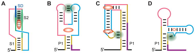 Fig. 2