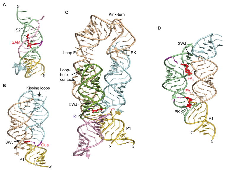 Fig. 3