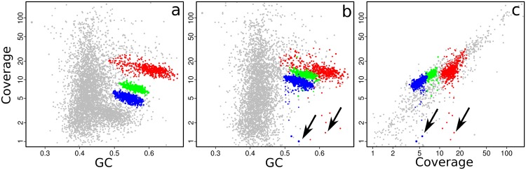 FIGURE 4