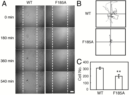 Fig. 6.