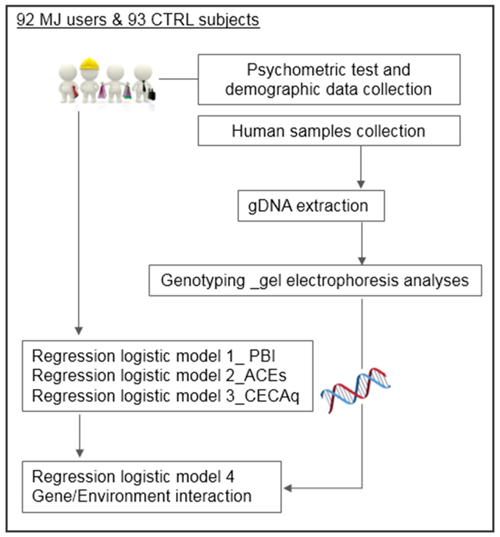 Figure 1.