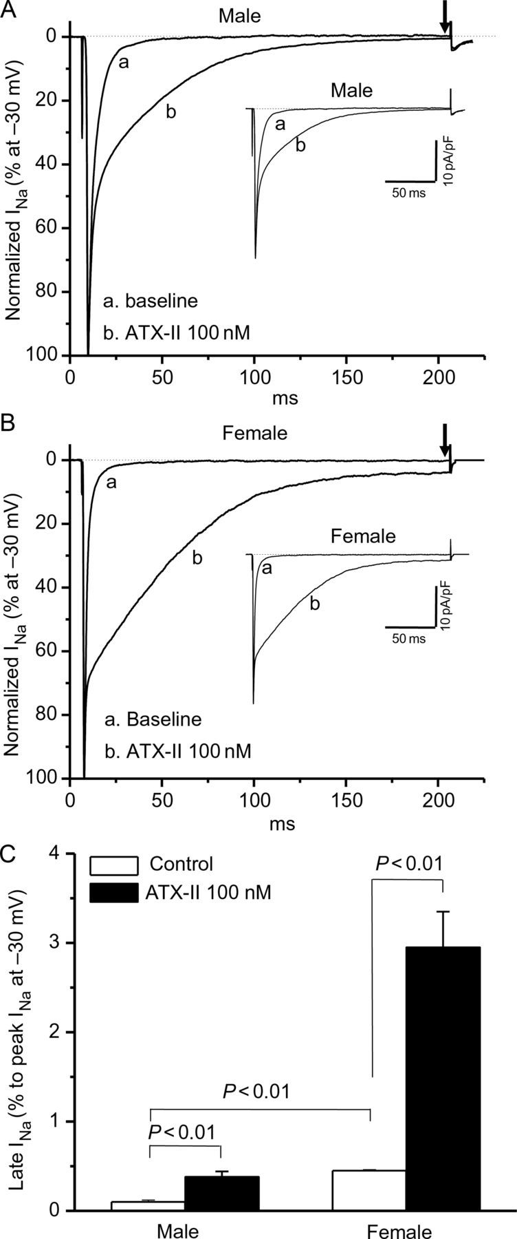 Figure 3