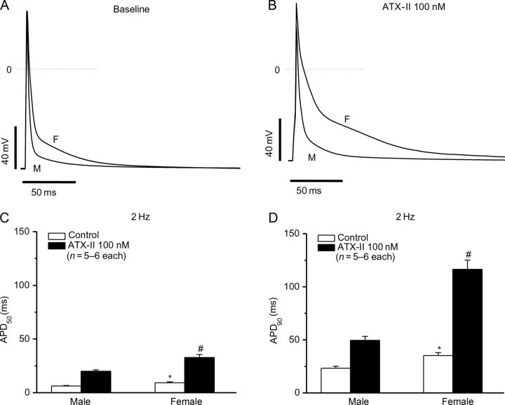 Figure 4