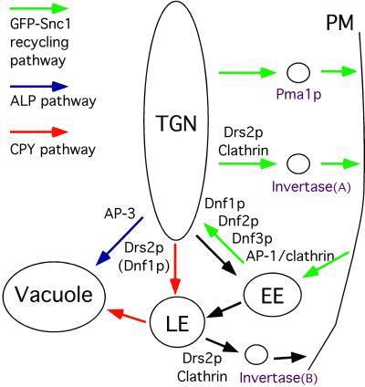 Figure 10