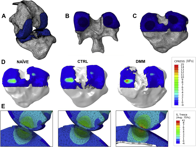 Fig. 7