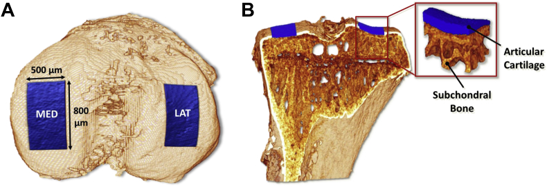 Fig. 1