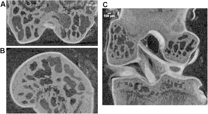 Fig. 6