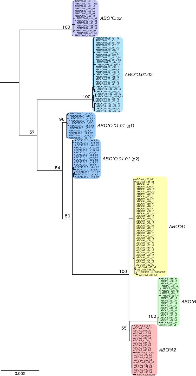 Figure 3.