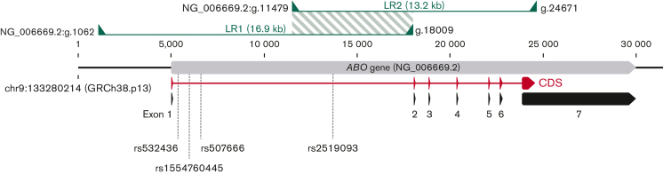 Figure 1.