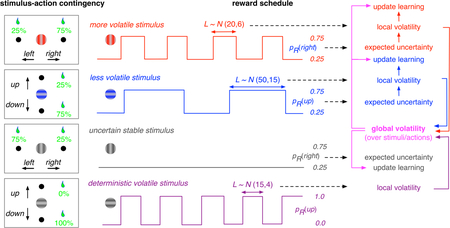 graphic file with name nihms-1036335-f0001.jpg