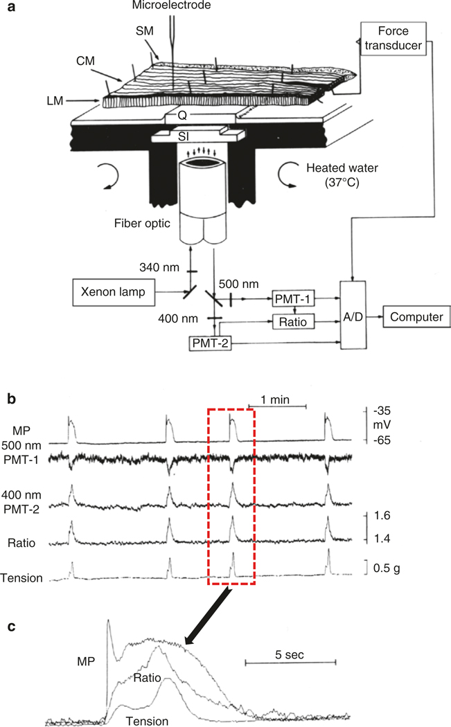 Fig. 1.6