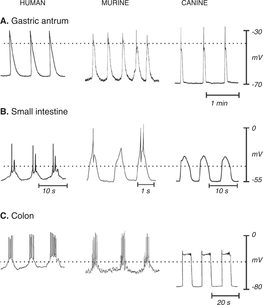 Fig. 1.1