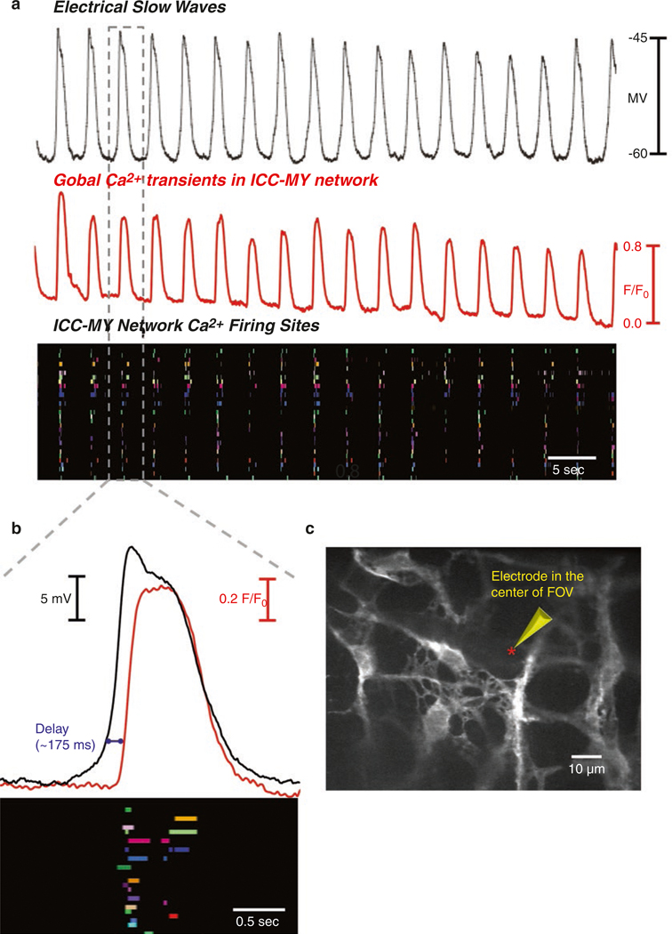 Fig. 1.11