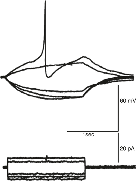 Fig. 1.5