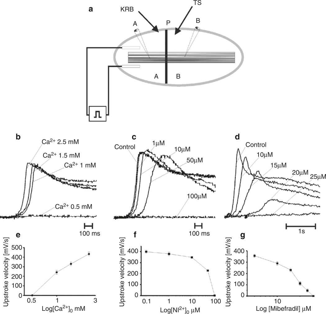 Fig. 1.4