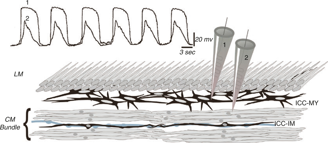 Fig. 1.2