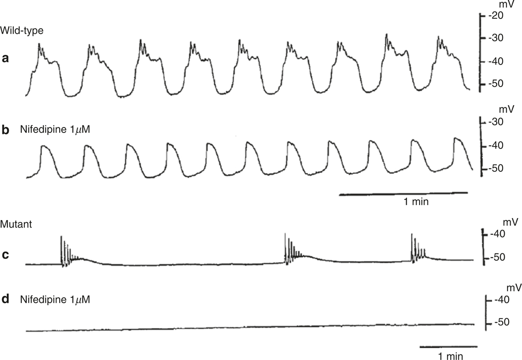 Fig. 1.12