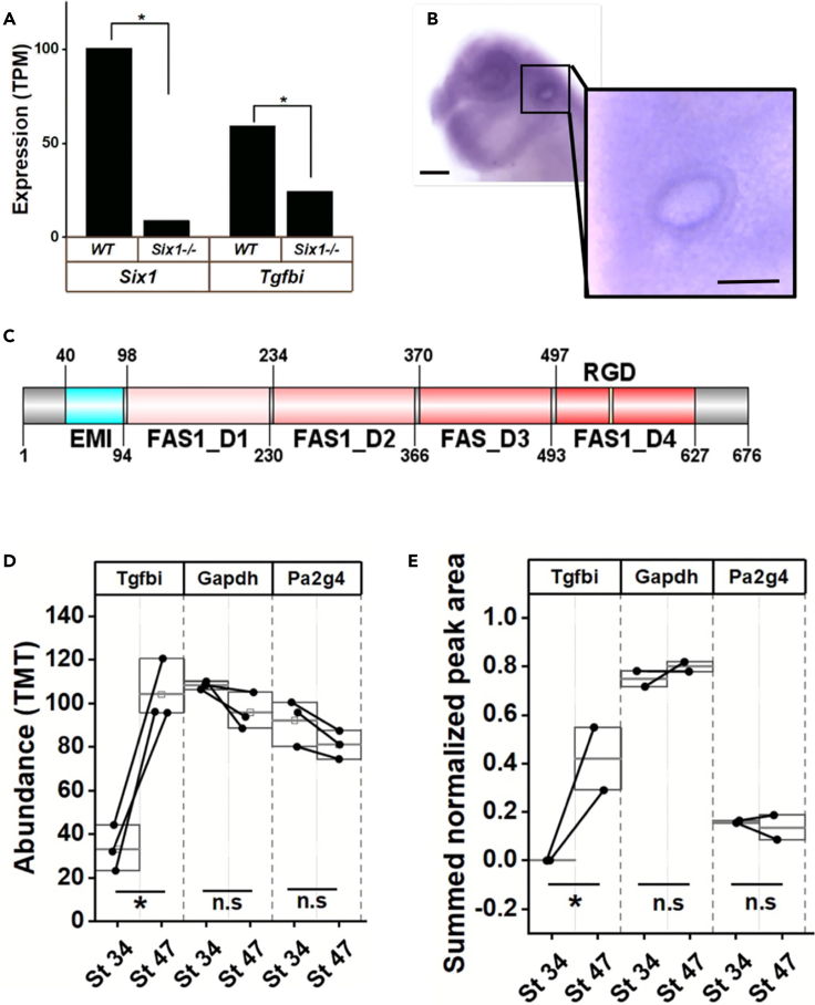 Figure 6