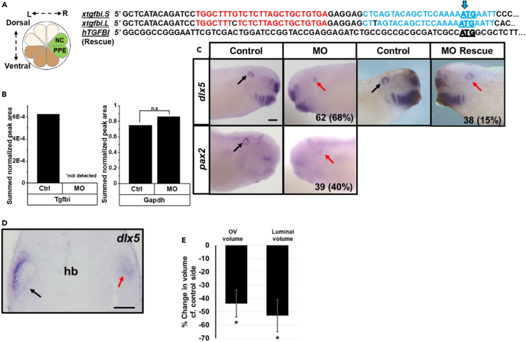 Figure 7