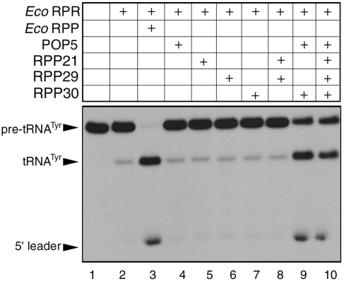 Figure 5.