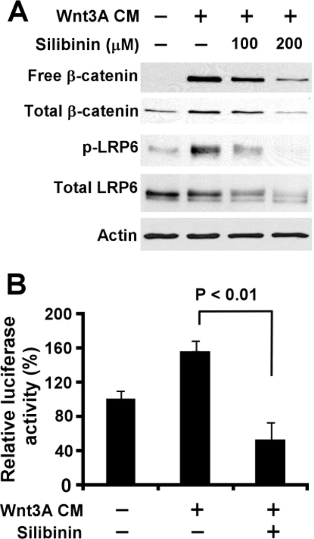 Fig.1