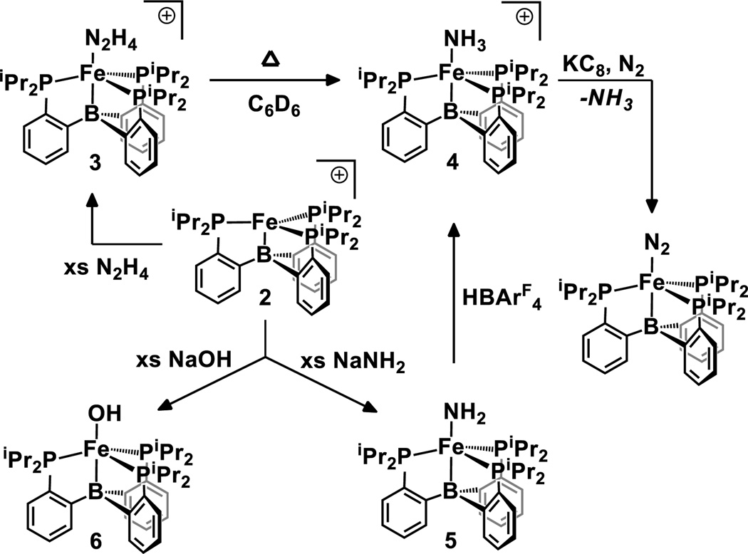 SCHEME 2