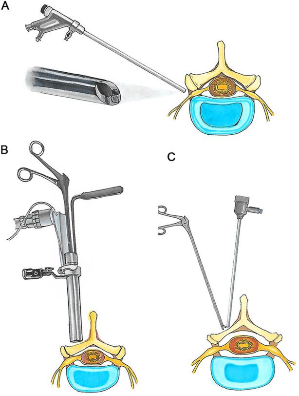 Fig. 5