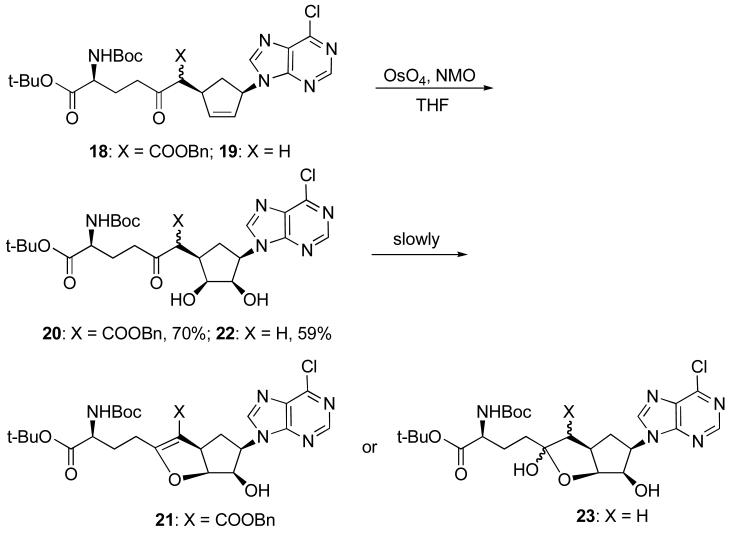 Scheme 4