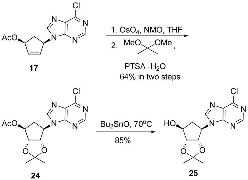 Scheme 5