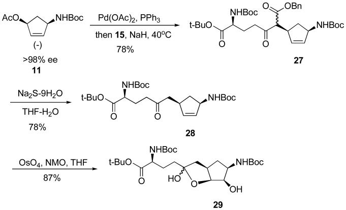 Scheme 7