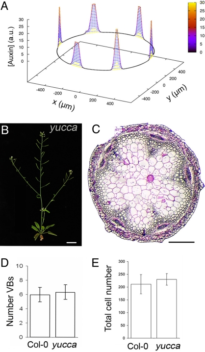 Fig. 2.