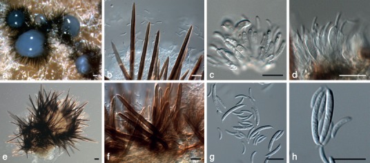 Fig. 11