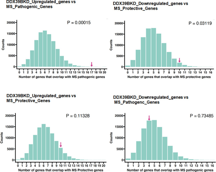 Figure 1—figure supplement 3.