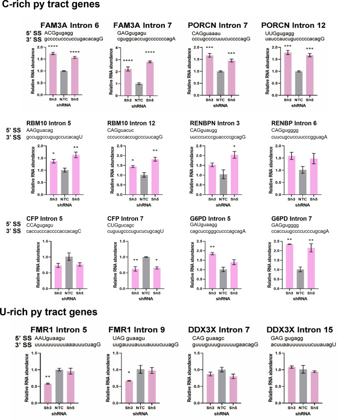 Figure 7—figure supplement 6.