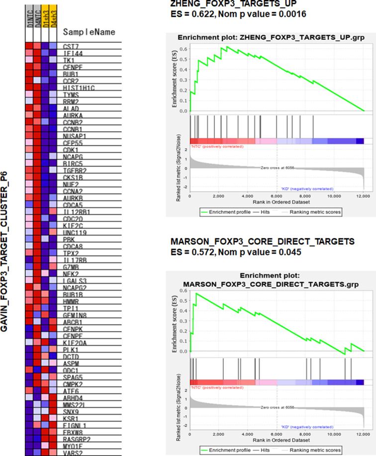 Figure 3—figure supplement 1.