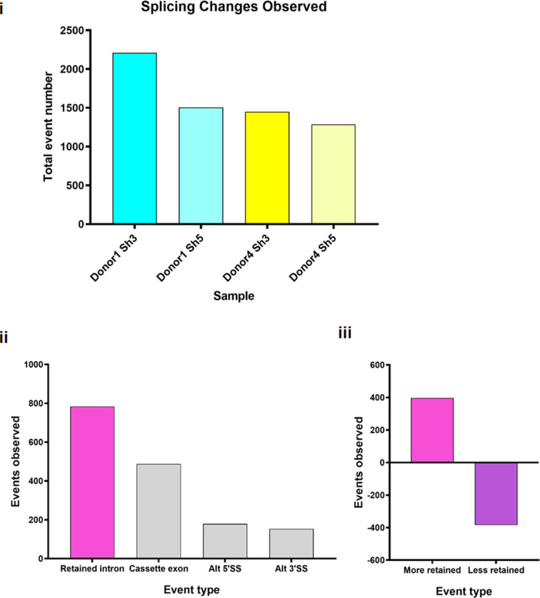 Figure 5—figure supplement 3.