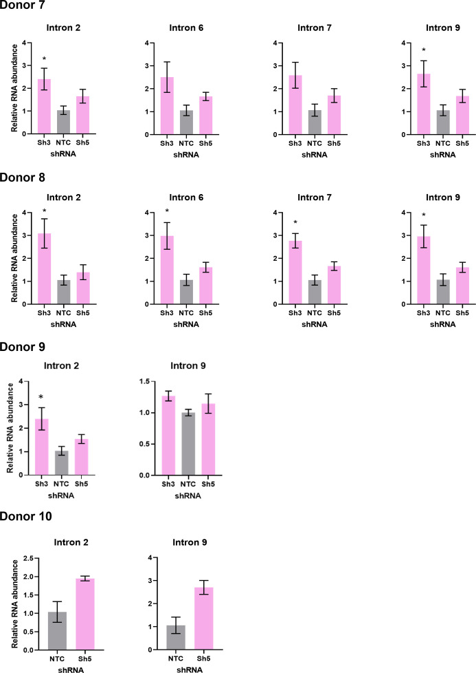 Figure 5—figure supplement 2.