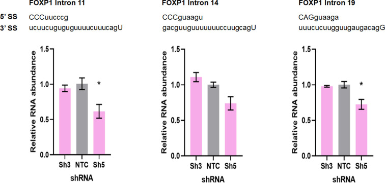 Figure 7—figure supplement 7.