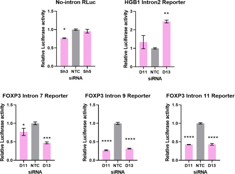 Figure 7—figure supplement 1.