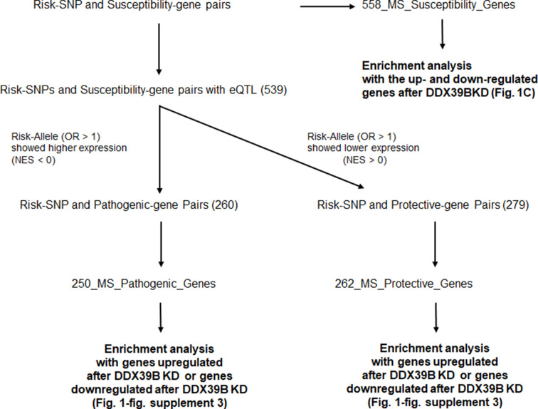 Figure 1—figure supplement 2.