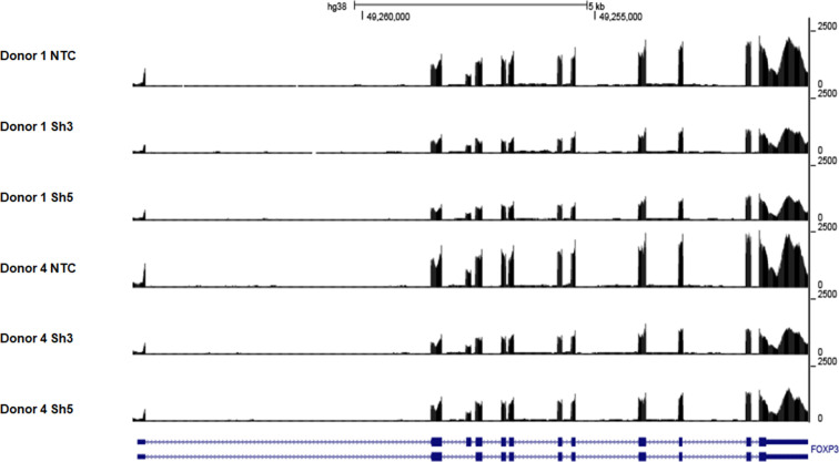 Figure 1—figure supplement 4.